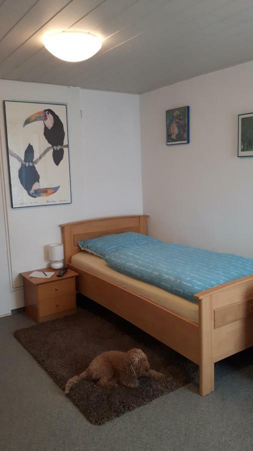 Super Schoene Fewo Aalen Kültér fotó